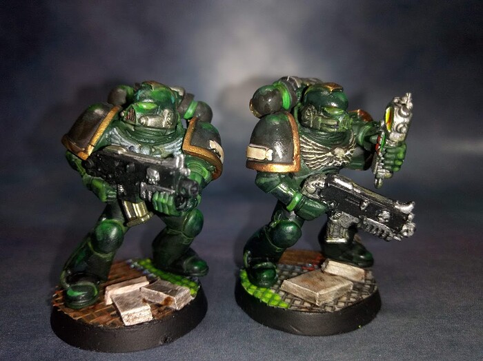 DIO20-0003 - Space Marine Salamanders04