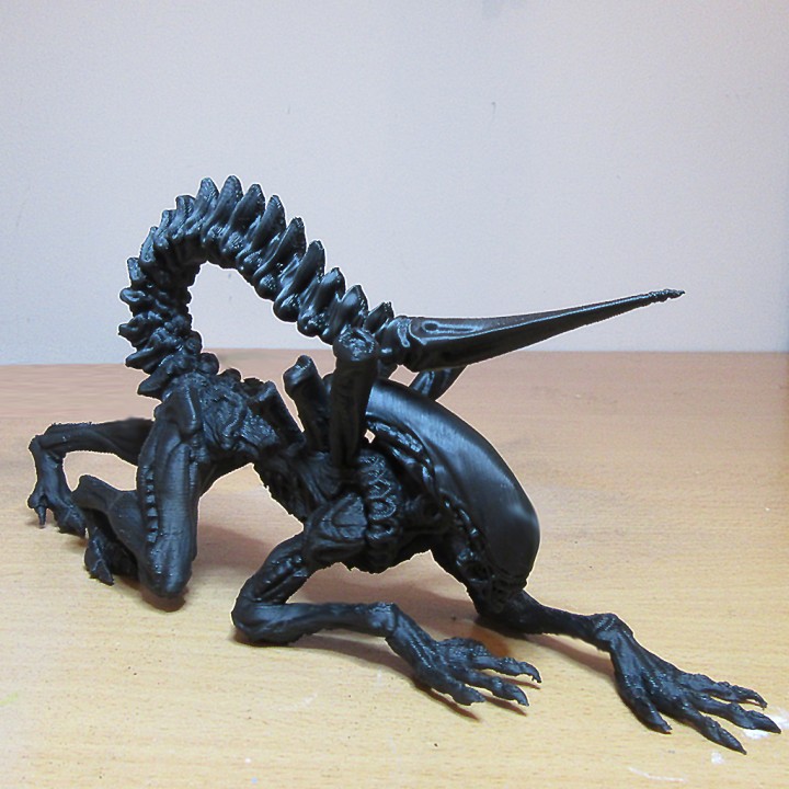 Alien - Xenomorph - 25 cm